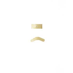 P-PR000029-SCO-PUR-TR12-CT