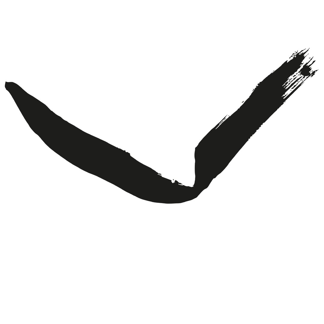 P-SR000017-FIX-M-BS3-BV100